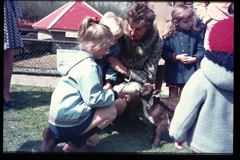 36.Kinderboerderij mrt 1971 Mama,Brigitte,Peter.JPG